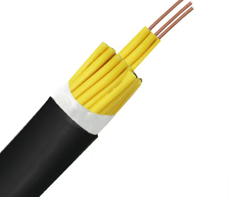 KVVP控制电缆16